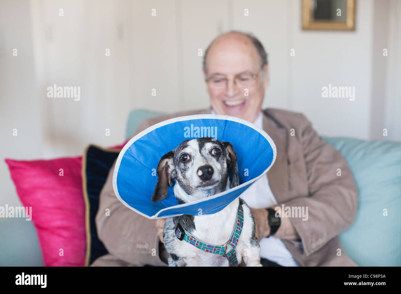 Ältere Mann auf Sofa mit blauem Halsband Stockfoto