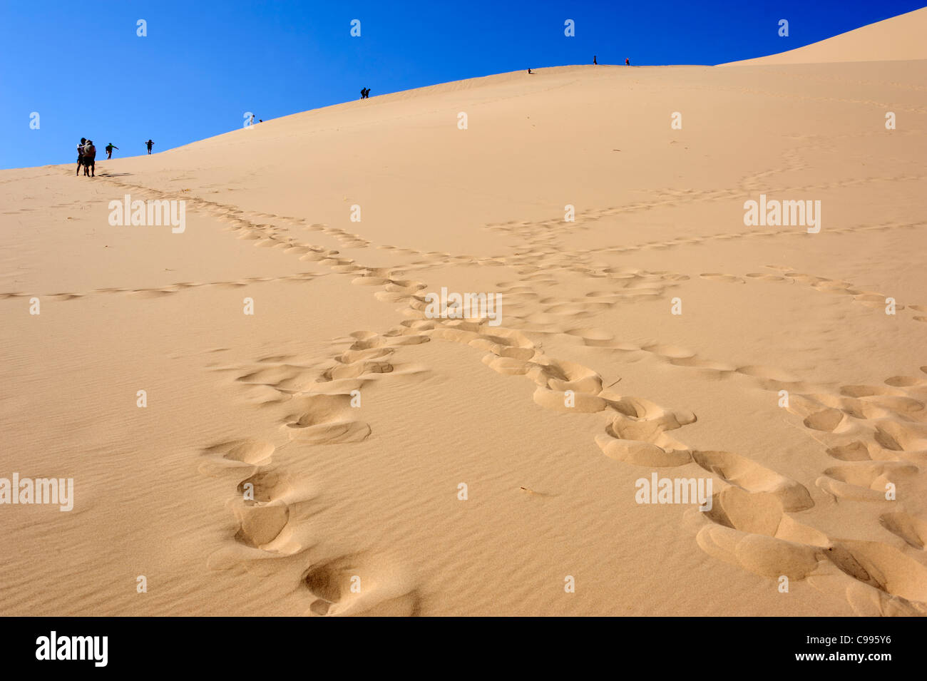 Khongoryn Sand-Bereich (Khongoryn Els) in der Wüste Gobi, Mongolei Stockfoto