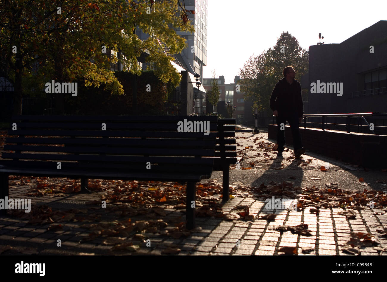 ein herbstlicher Blick in die Sonne ein Blatt übersäten Straße mit Bänken in den Vordergrund und ein Mann zu Fuß in Richtung der Kameras Stockfoto