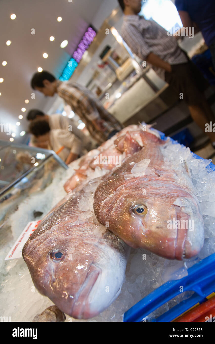 Frischer Fisch zum Verkauf an den Sydney Fish Market.  Blackwattle Bay, Sydney, New South Wales, Australien Stockfoto
