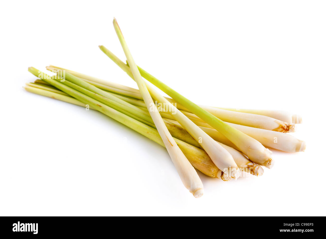 Bundle von frischem Zitronengras auf weißem Hintergrund Stockfoto