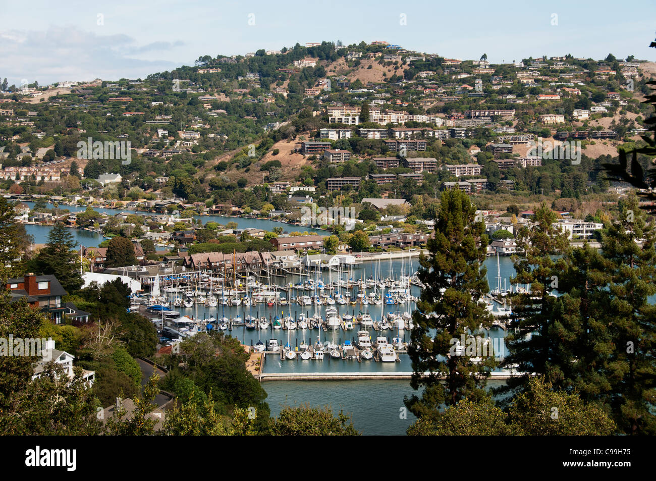 Tiburon San Francisco Kalifornien Vereinigte Staaten von Amerika Amerikaner / USA Stadt Stockfoto