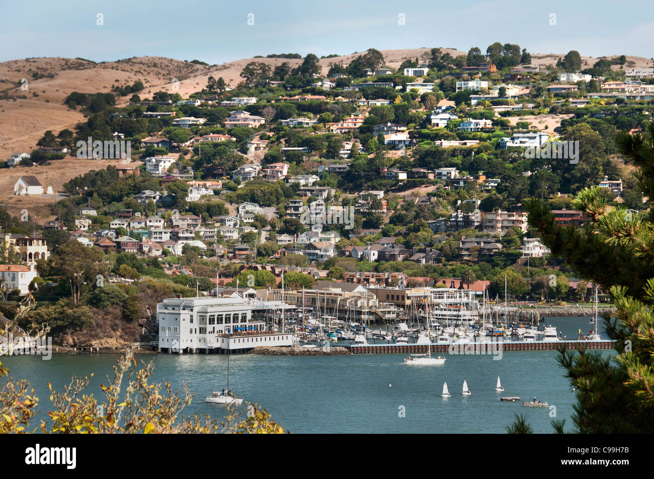 Tiburon San Francisco Kalifornien Vereinigte Staaten von Amerika Amerikaner / USA Stadt Stockfoto