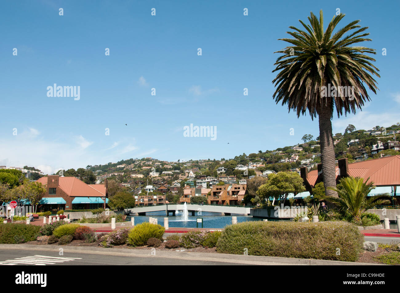 Tiburon San Francisco Kalifornien Vereinigte Staaten von Amerika Amerikaner / USA Stadt Stockfoto