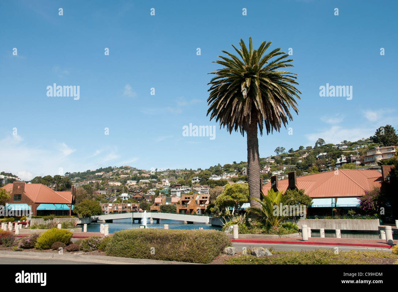 Tiburon San Francisco Kalifornien Vereinigte Staaten von Amerika Amerikaner / USA Stadt Stockfoto
