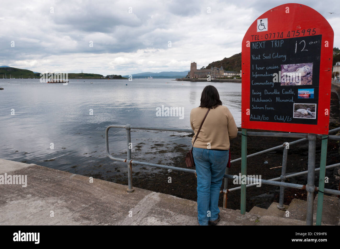 Ein Tourist liest ein Schild am Oban Hafen Werbung Bootsfahrten und Wildbeobachtungen Reisen. Stockfoto