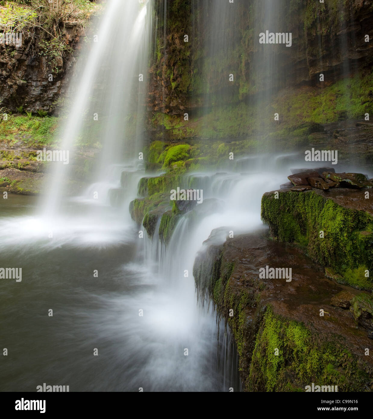 Wald, Fluss und Wasserfall, Brecon Beacons National Park, Wales Stockfoto
