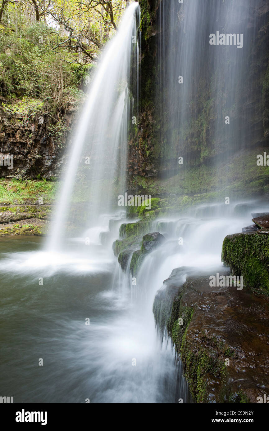 Wald, Fluss und Wasserfall, Brecon Beacons National Park, Wales Stockfoto