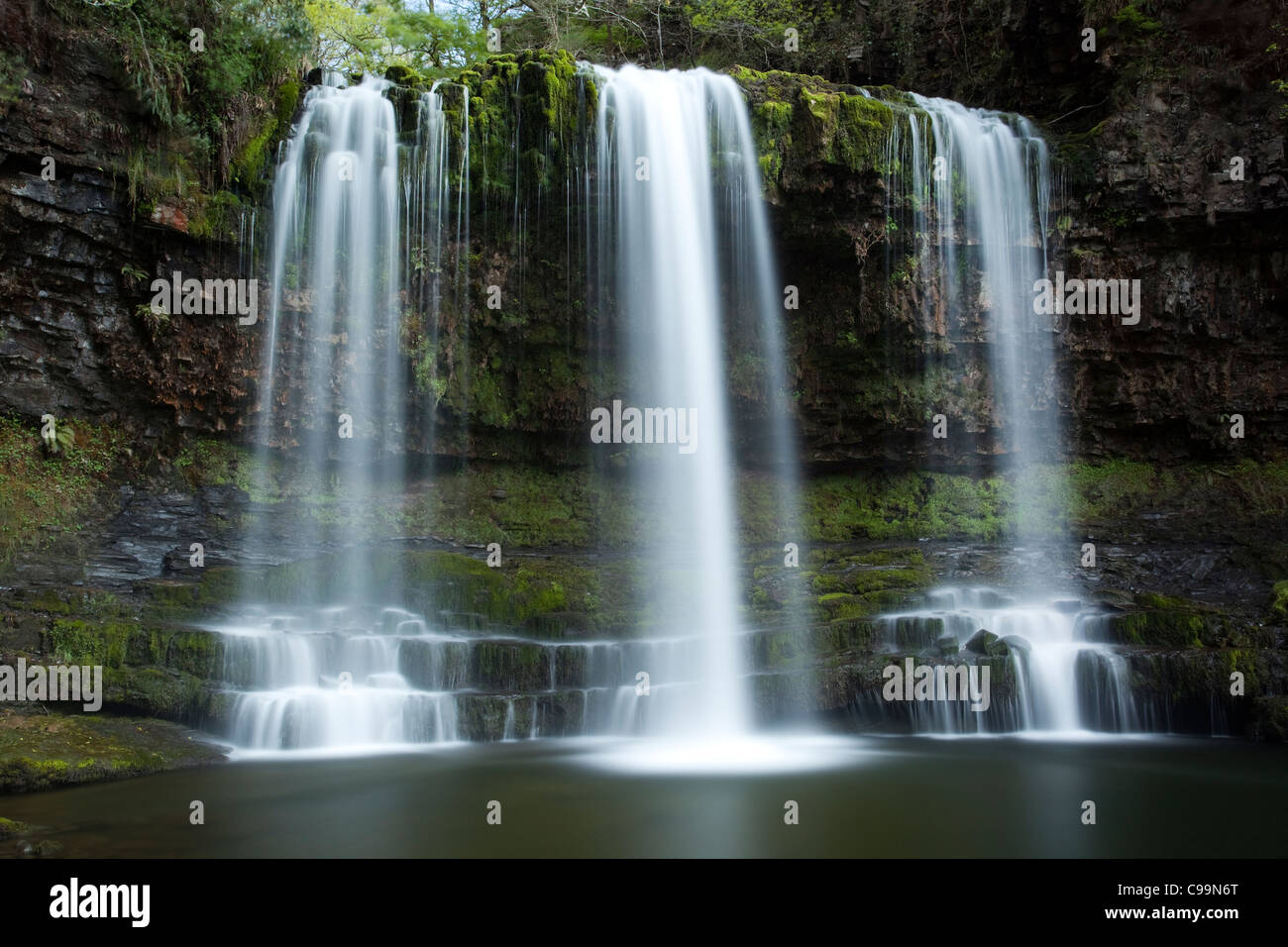 Wald-Fluss und Wasserfall, Wales, UK Stockfoto