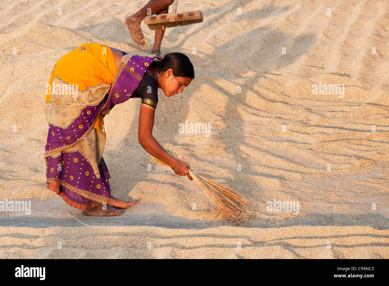 Indische Frau fegt Reis, der in der Sonne auf einer indischen Straße austrocknen. Andhra Pradesh, Indien Stockfoto