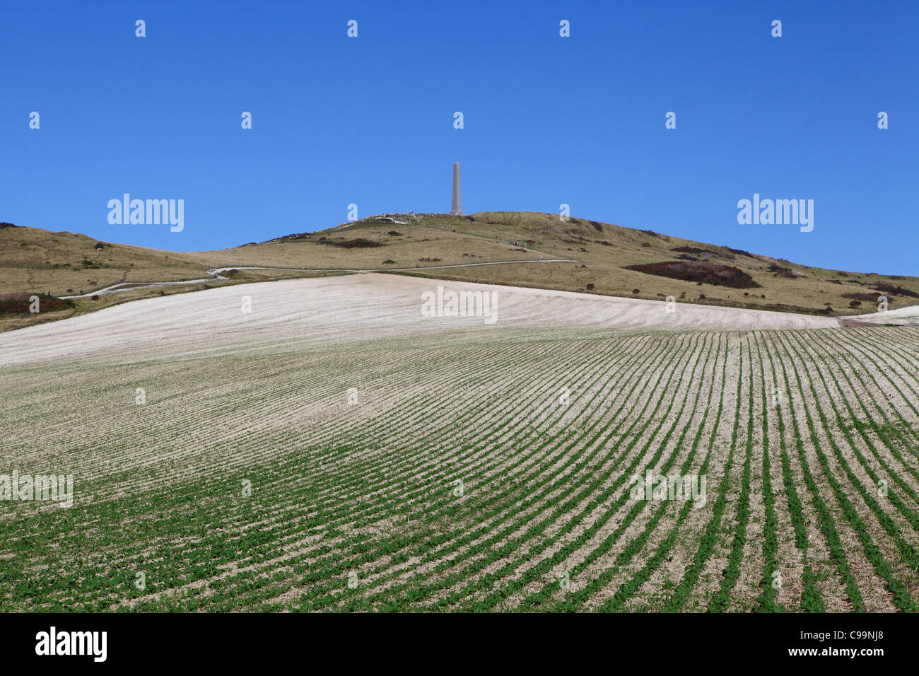 Cap Blanc Nez Calais Frankreich Stockfoto