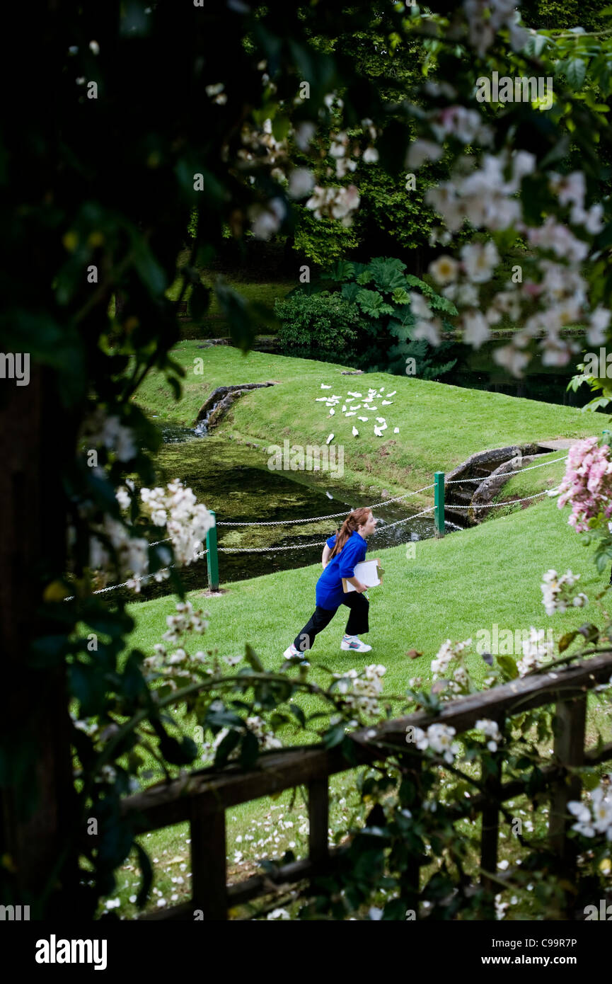 St Fagans National History Museum. CARDIFF, Gales. Wales. Stockfoto