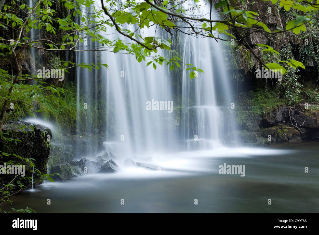 Wald-Fluss und Wasserfall, Wales, UK Stockfoto