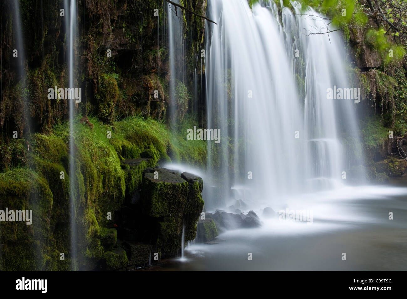 Wald-Fluss und Wasserfall, Wales, UK Stockfoto