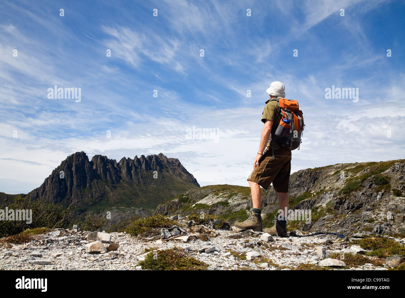 Ein Wanderer auf der Suche nach Cradle Mountain.  Cradle Mountain-Lake St Clair Nationalpark in Tasmanien, Austrtalia Stockfoto