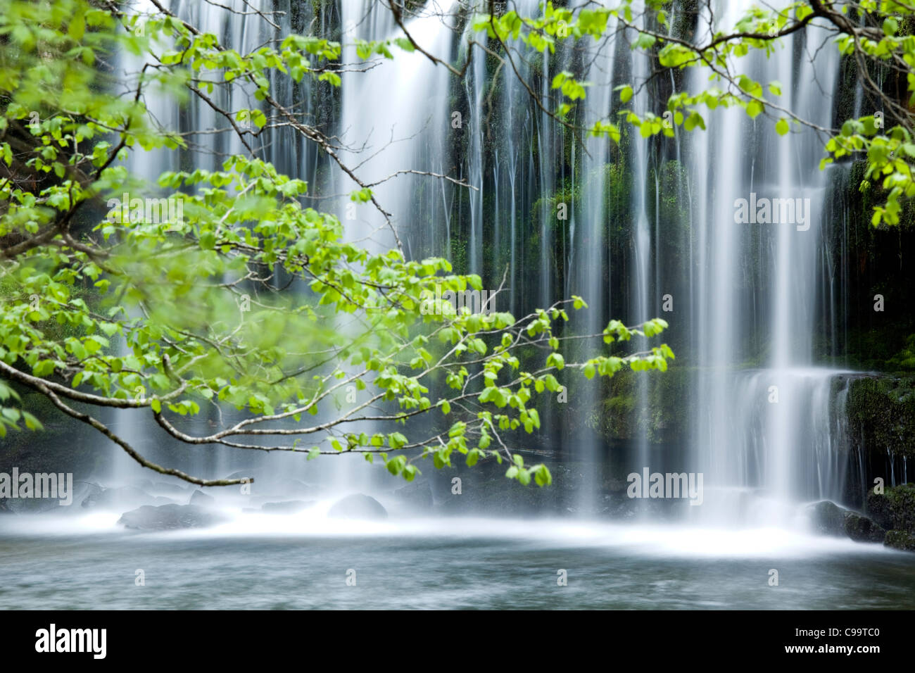 Wald, Fluss und Wasserfall, Wales, UK Stockfoto