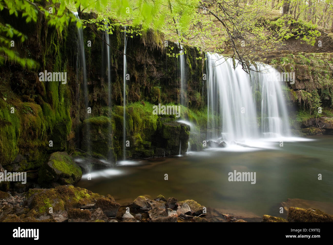 Wald-Fluss und Wasserfall, Wales, UK Stockfoto