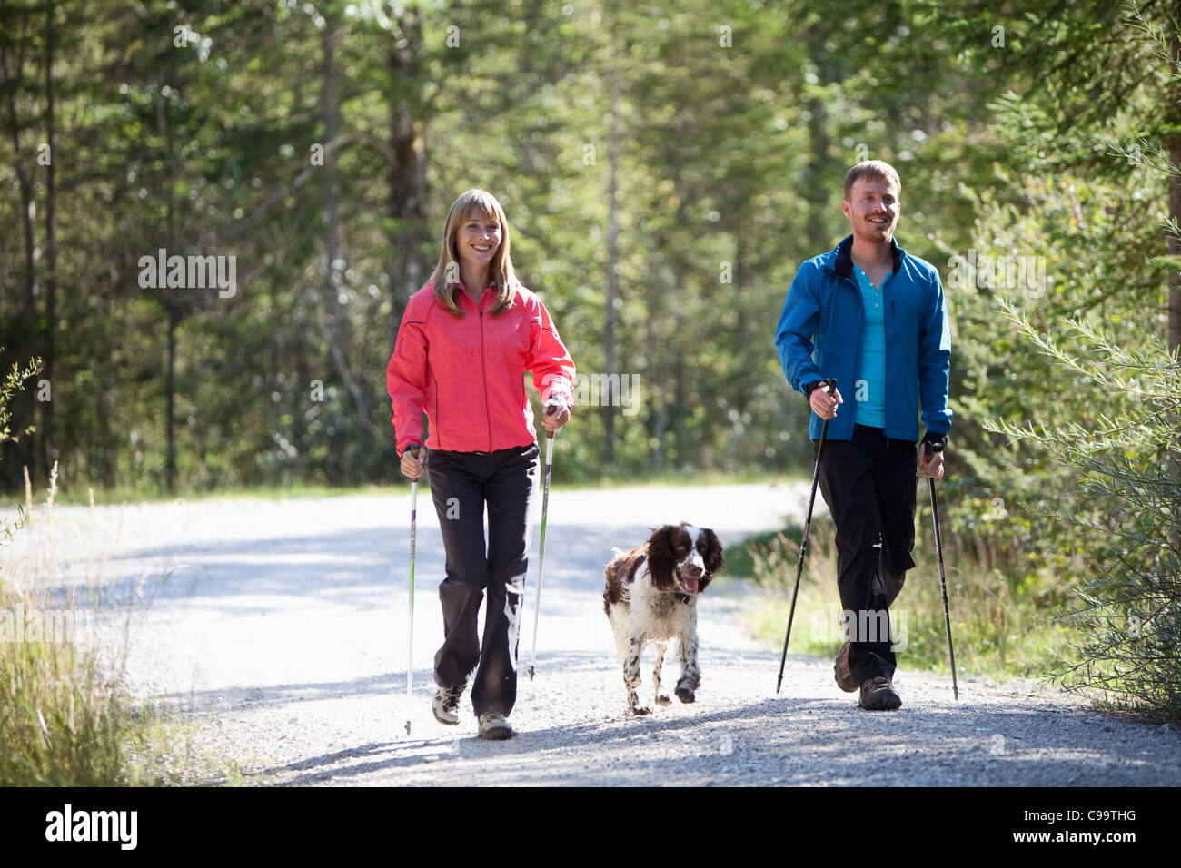 Deutschland, Bayern, paar beim Nordic walk mit englischen Springer spaniel Stockfoto
