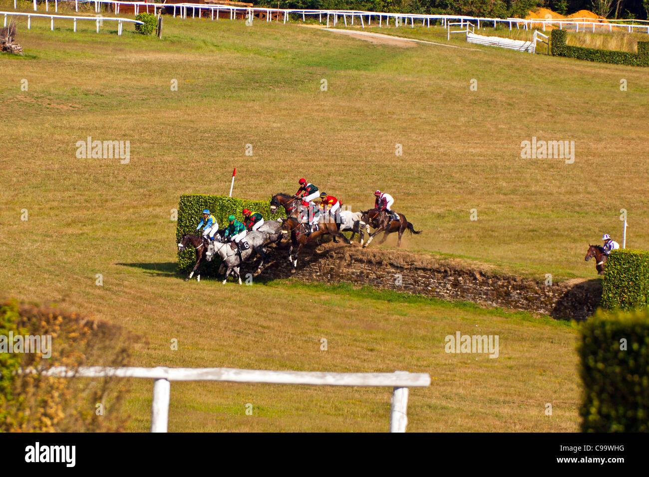 Pferderennen im Hippodrome de Pompadour Stockfoto