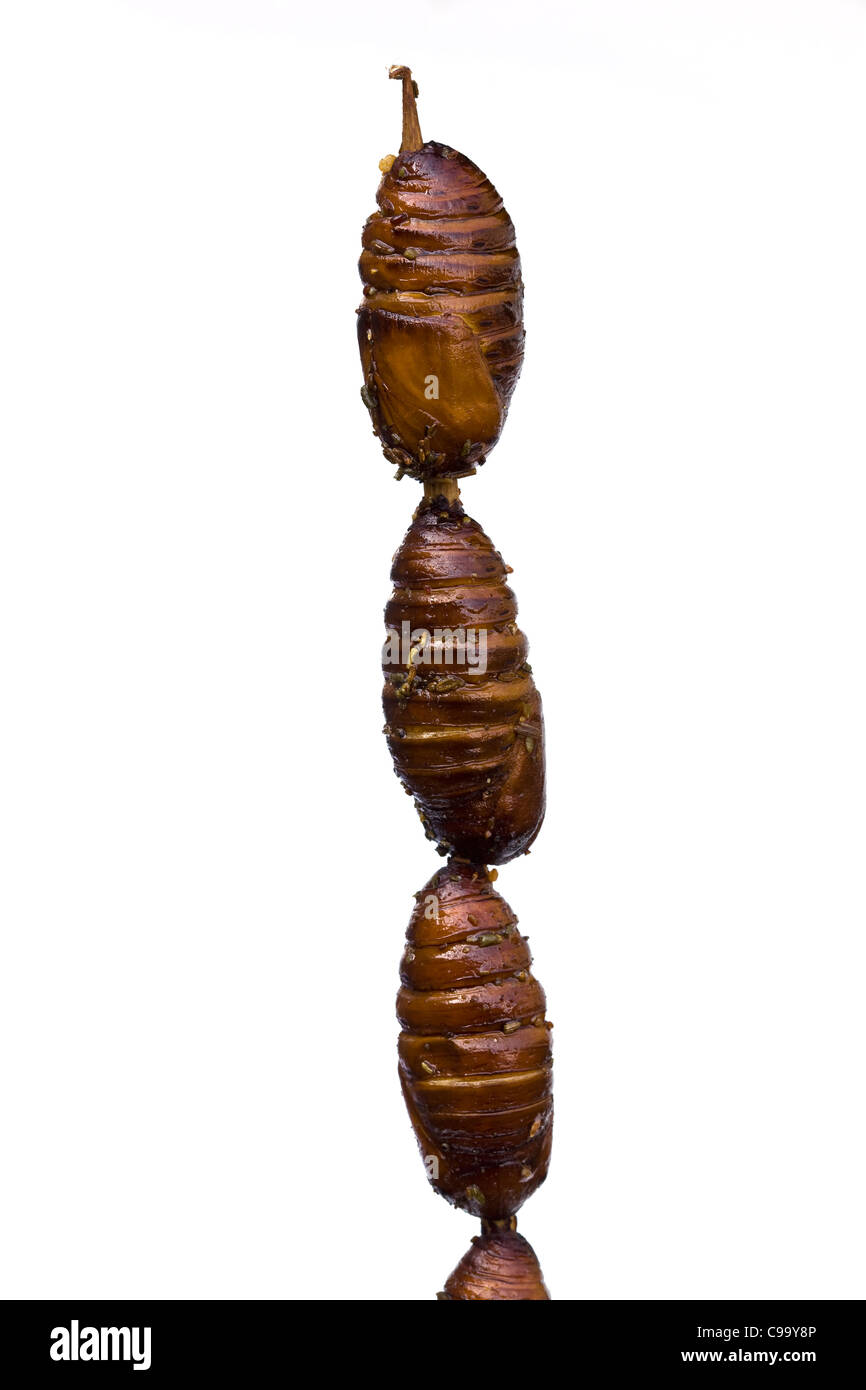 Gekochte Seidenraupenlarven auf dem Wangfujing Street Food Night Market Peking China - ein Beispiel für die seltsamen oder seltsamen Speisen, die von Menschen gegessen werden Stockfoto