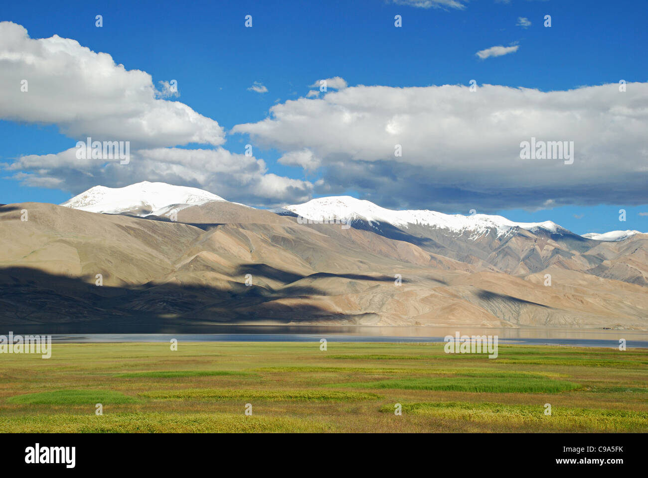Schnee verkleidet Himalaya-Gebirge im Hintergrund der Tsomoriri oder See Moriri, riesige weiße Wolken über dem Berg, grün f Stockfoto