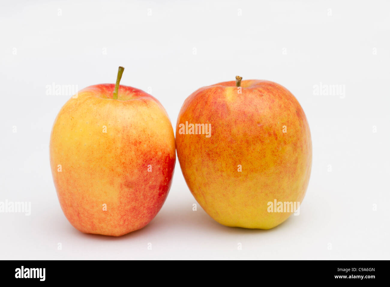 Jazz-Äpfel aus dem englischen Obstgärten Stockfoto