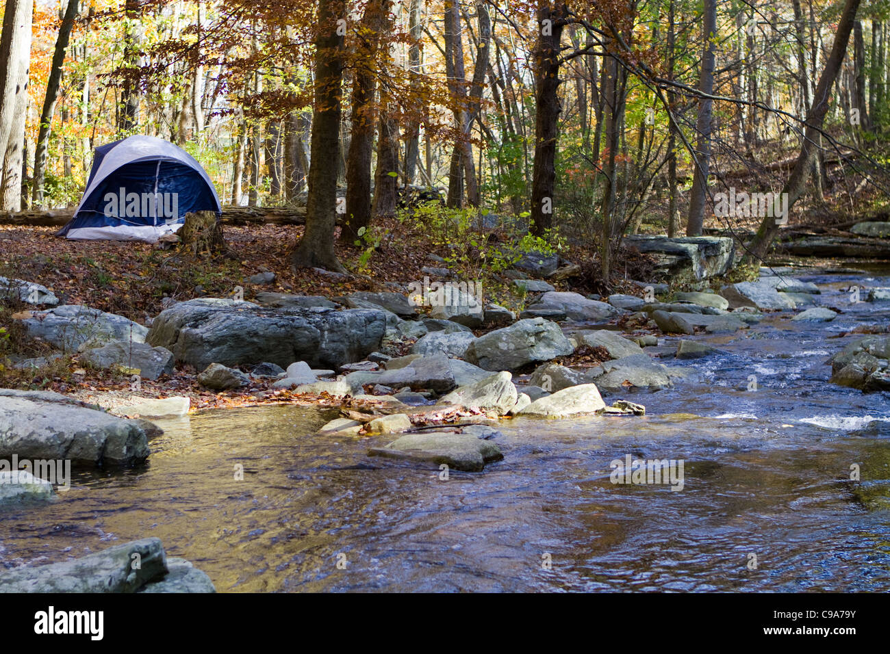 Kleines camping Zelt ist von einem Gebirgsbach in den Wäldern im Herbst mit Herbstlaub aufgeschlagen. Stockfoto