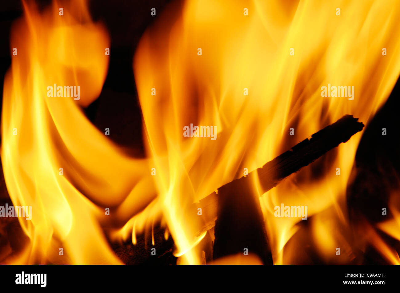 Orange Flammen aus einem kleinen Holz Lagerfeuer. Stockfoto