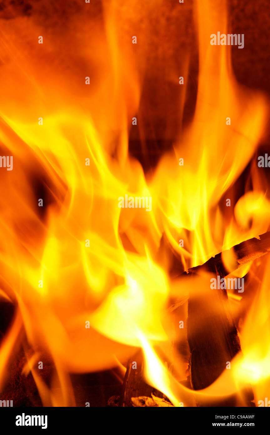 Orange Flammen aus einem kleinen Holz Lagerfeuer. Stockfoto