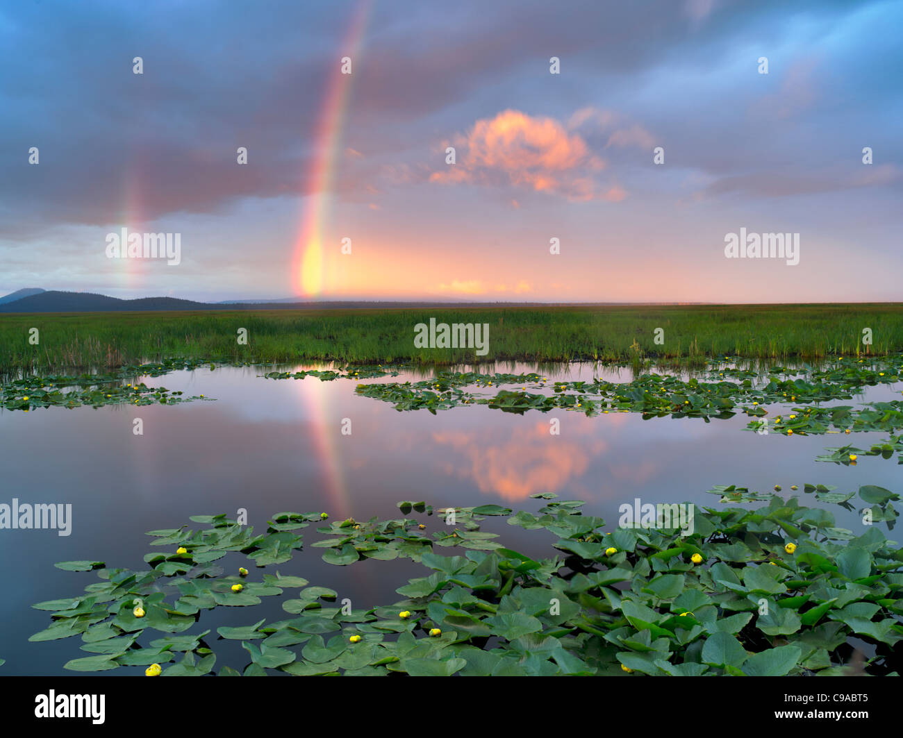 Regenbogen am Klamath Marsh National Wildlife Refuge, Oregon Stockfoto