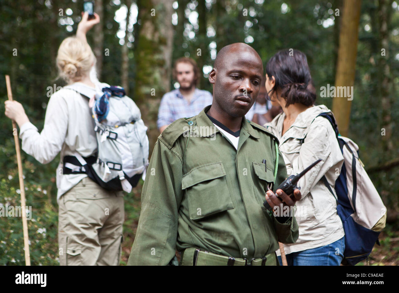 Tracker / Guide und internationalen Touristen auf einer Wanderung zu sehen, Berggorillas im Bwindi Impenetrable Forest, Uganda trekking. Stockfoto