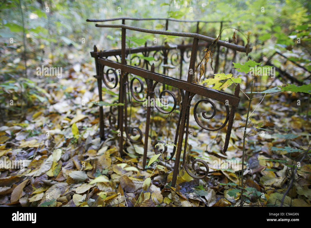 Polnisch, Lodz, 20111102, jüdischer Friedhof, Handlauf Stockfoto