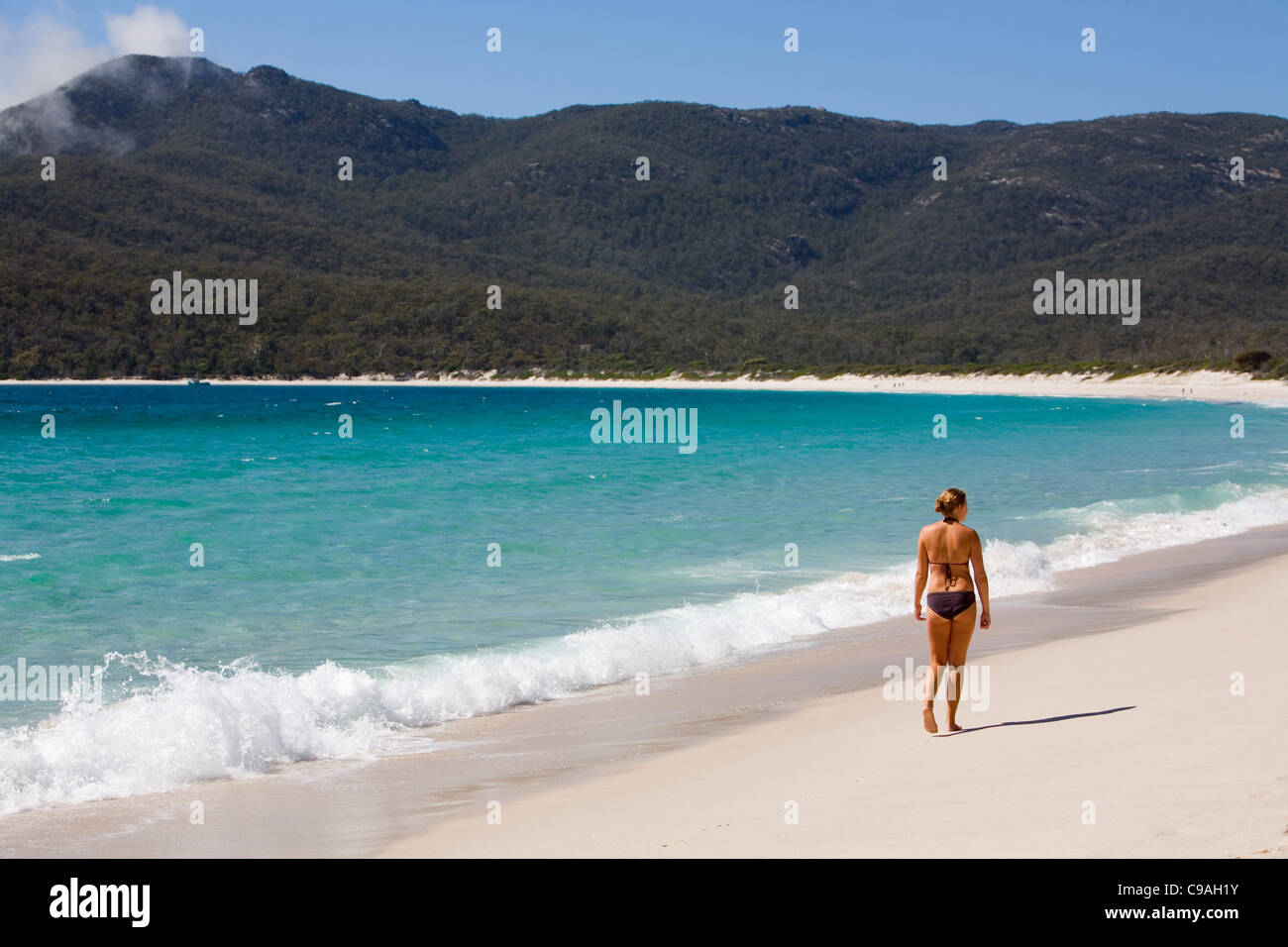 Schwimmerin am Strand Wineglass Bay.  Freycinet National Park, Tasmanien, Australien Stockfoto