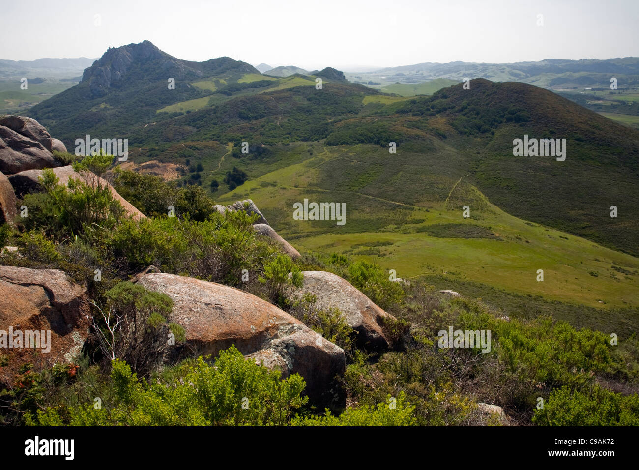 Hollister-Peak von Cerre Cabrillo, zwei von den vulkanischen Stecker in die neun Schwestern, die von San Luis Obispo nach Morro Bay. Stockfoto