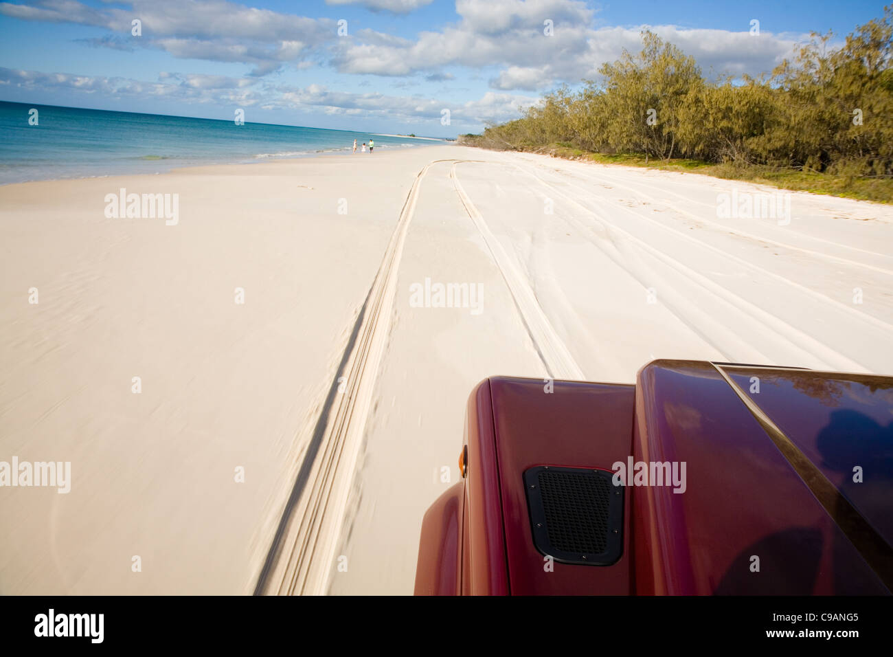 Mit dem Geländewagen fahren entlang der Küste von Fraser Island - die größte Sandinsel der Welt. Fraser Island, Queensland, Australien Stockfoto