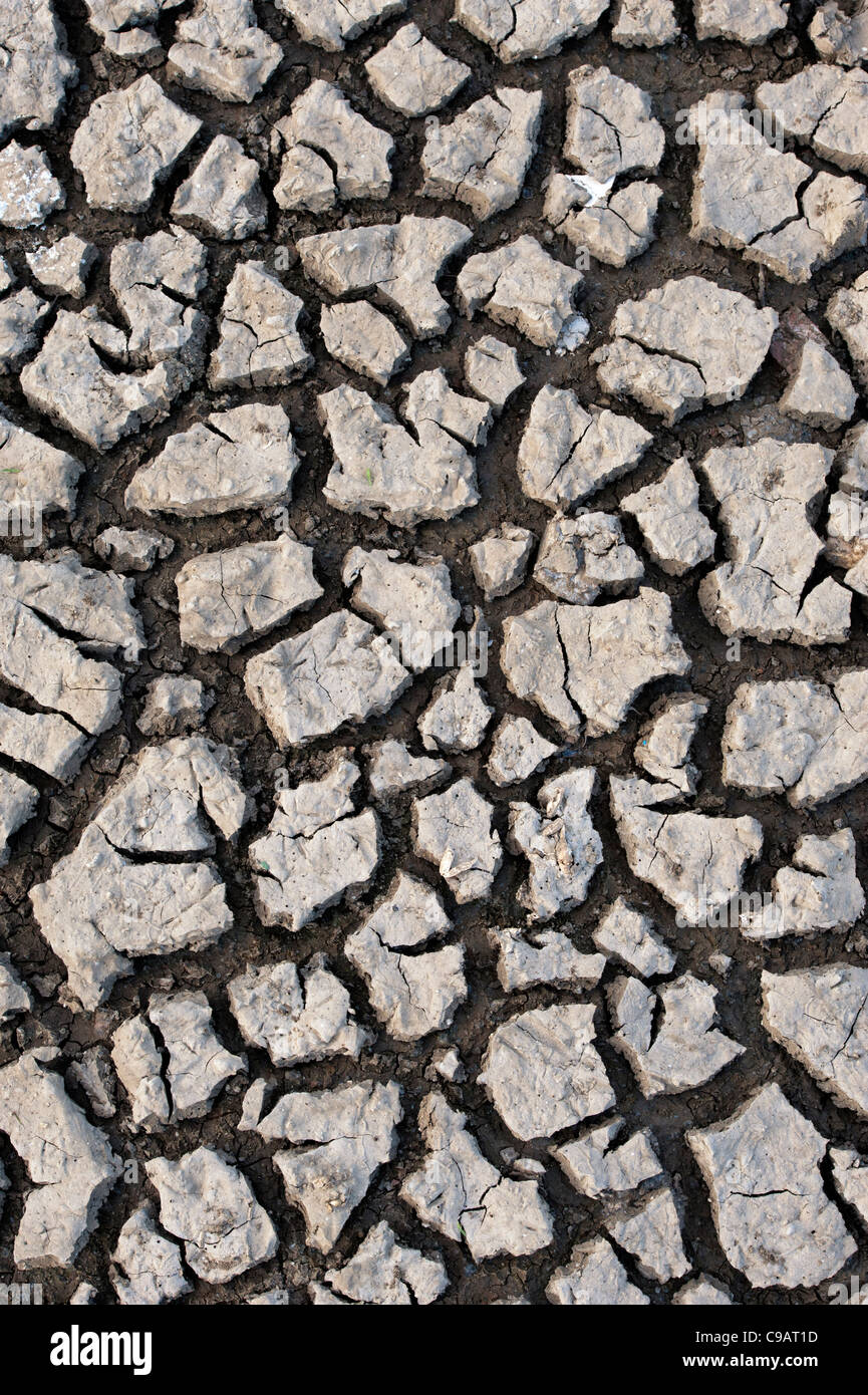 Chemische cracken Lehmboden Muster. Andhra Pradesh, Indien. Stockfoto