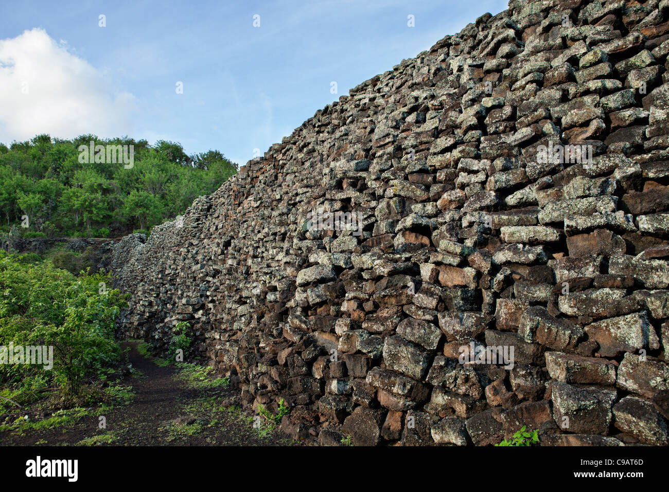 Mauer der Tränen baute Strafkolonie Insassen als Strafe. Isabela Island, Galapagos, Ecuador. Stockfoto