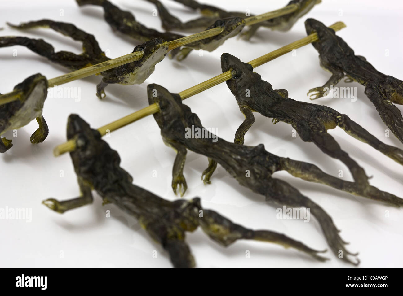 Fried River Frogs auf dem Markt in Vientiane Laos - ein Beispiel für die seltsamen oder seltsamen Speisen, die von Menschen auf der ganzen Welt gegessen werden Stockfoto
