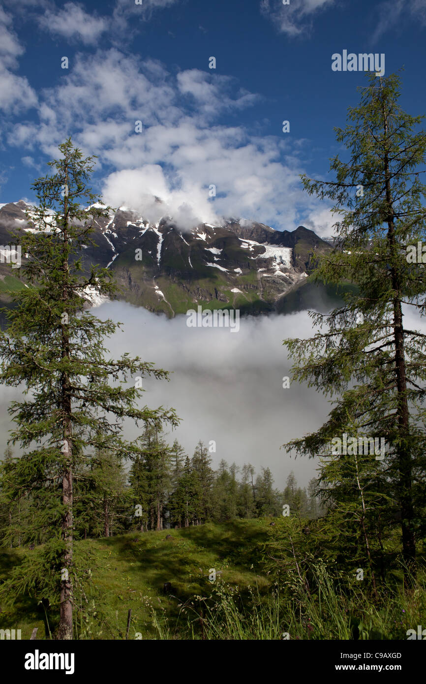 Zell Am See Österreich Blauer Tag Tageslicht Europa Fauna floral grün ho Urlaub See Freizeit Licht Bergnatur niemand im freien Stockfoto