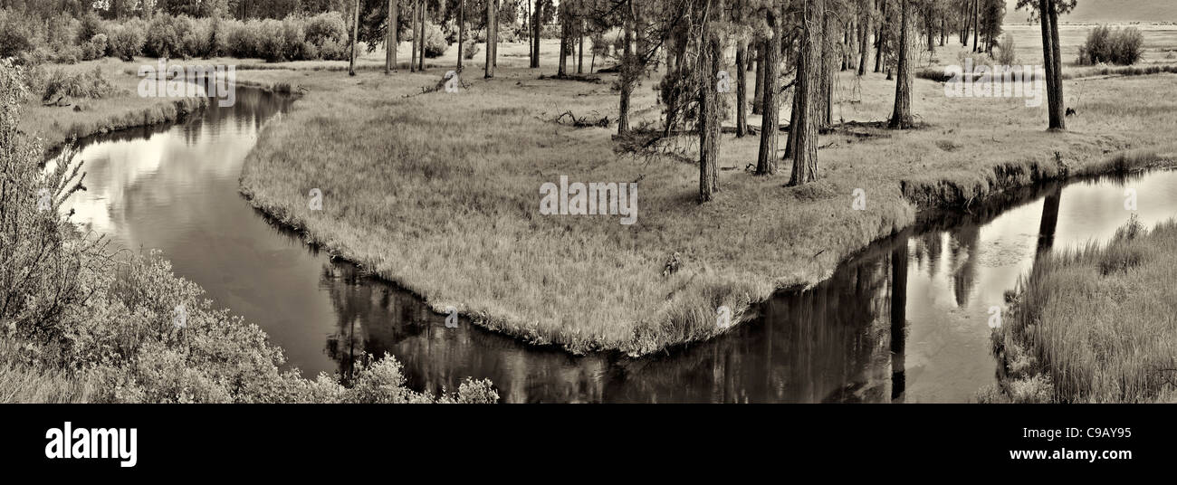 Holz-Fluss. Oregon Stockfoto