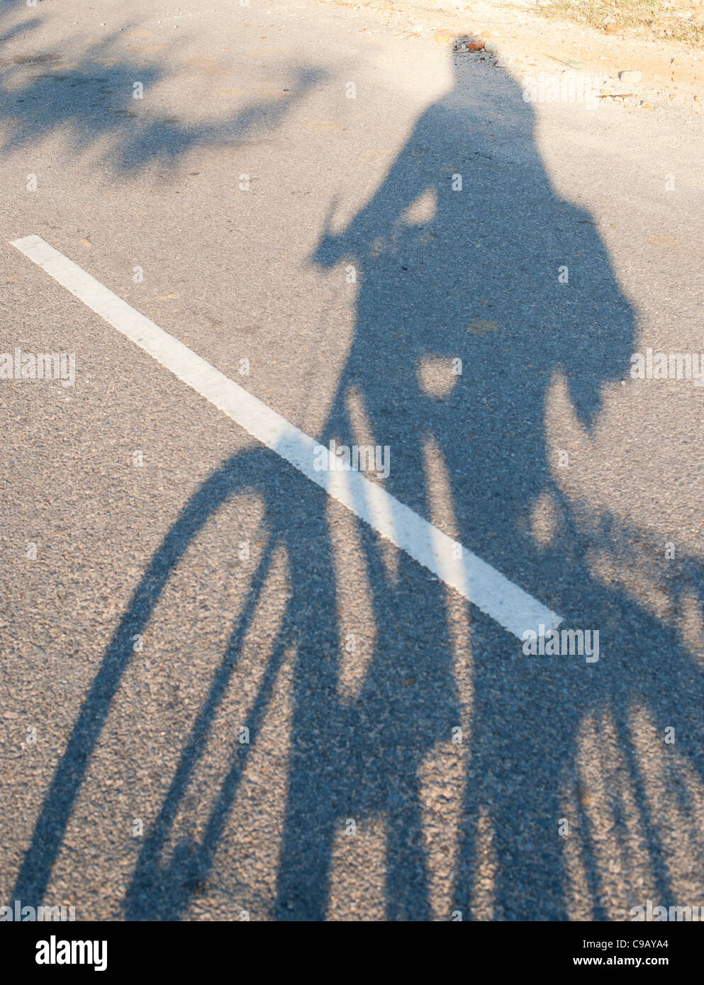 Mann reiten Fahrrad Schatten auf eine Straße. Indien Stockfoto