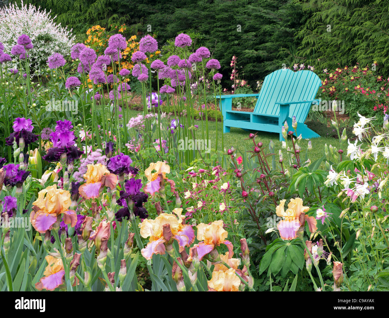 Iris und andere blühende Pflanzen mit Stuhl im Schriners Iris Garden. Oregon Stockfoto