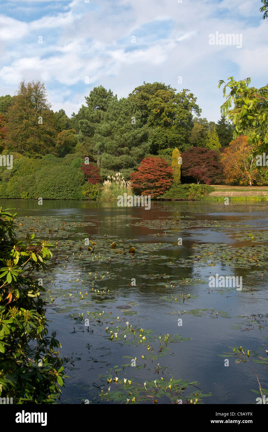 Herbstfärbung Sheffield Park East Sussex England Stockfoto