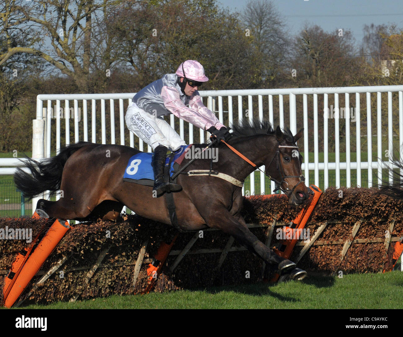 Nacht Rose geritten von Charlie Huxley findet der letzte in der Totequadpot E B F Mares´ "National Hunt" Novices´ Hürde in Huntingdon Racecourse, Brampton, Cambridgeshire - 19.11.2011 - CREDIT: Martin Dalton/TGSPHOTO Stockfoto