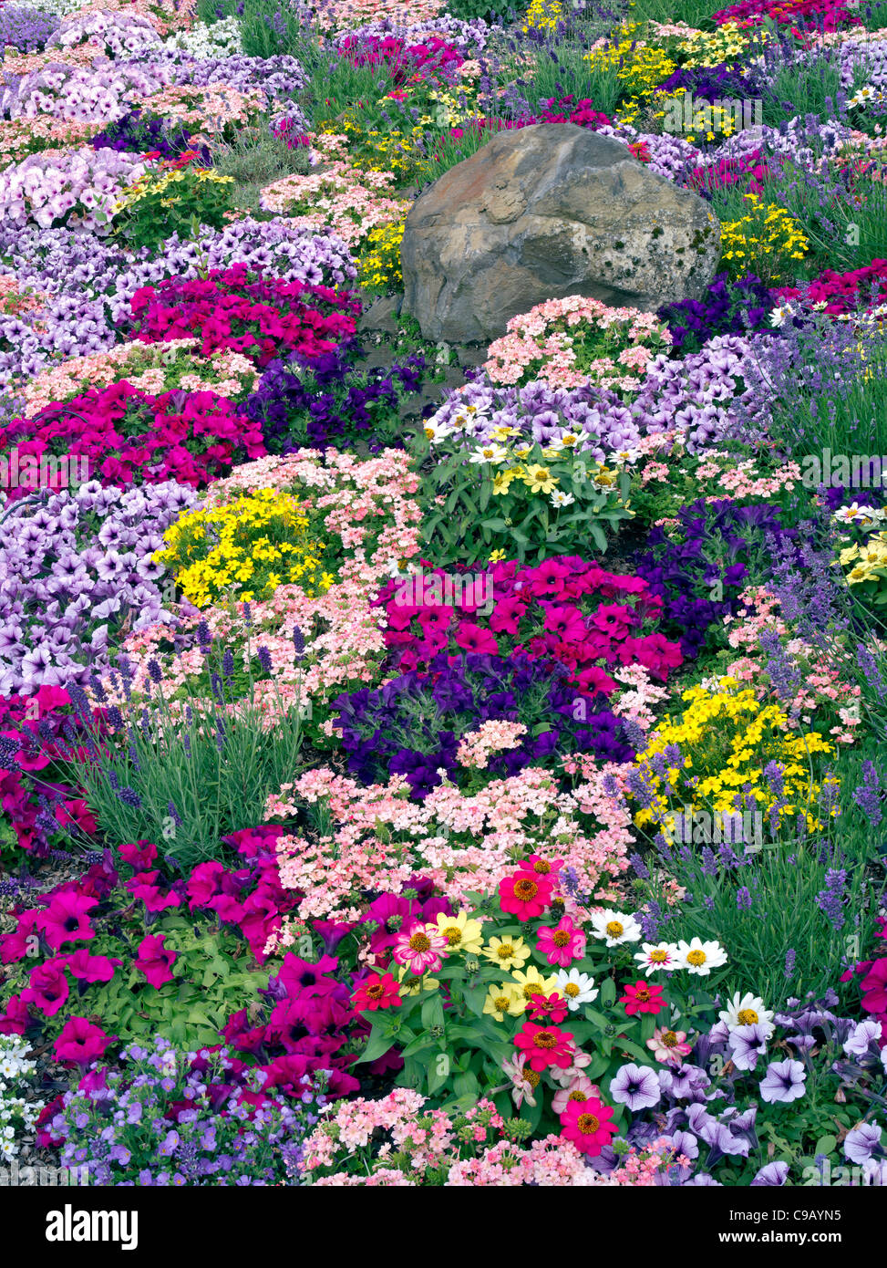 Gemischten Blumen im Landschaftsbau in Al Gärtnerei, Oregon Stockfoto