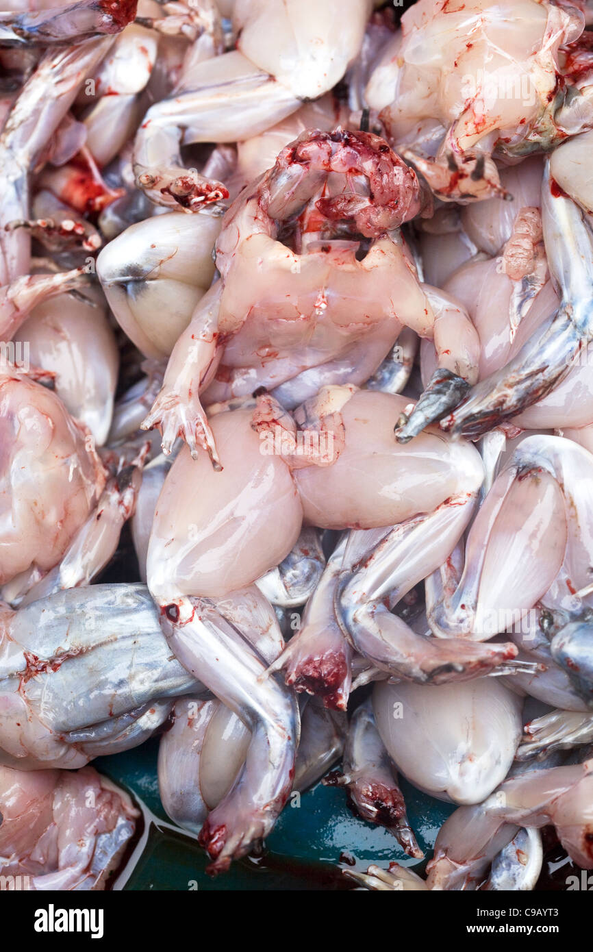 Dunkelhäutigen Frösche auf Verkauf im Markt Hanoi Stockfoto