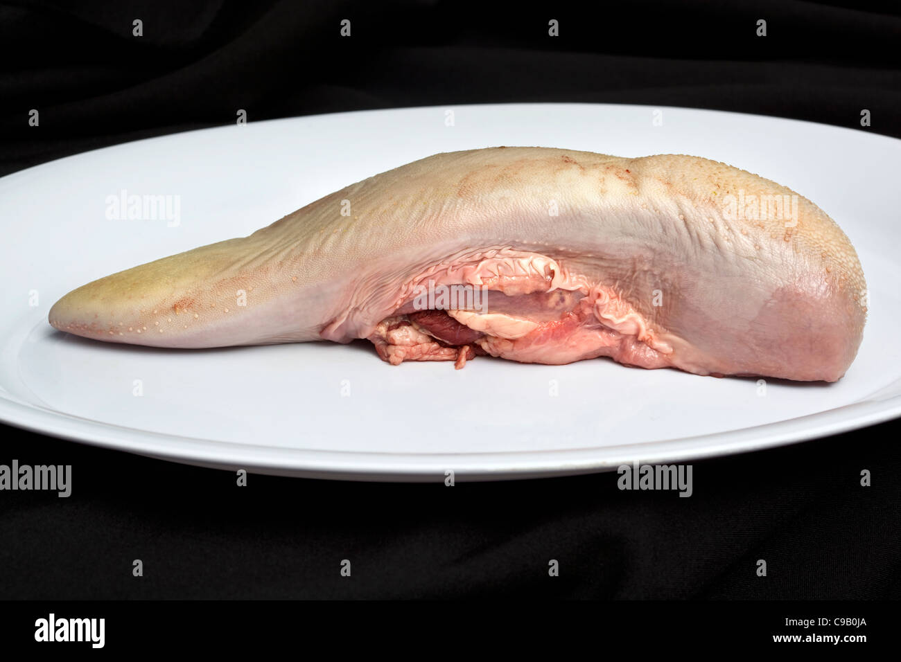Rohe Rinderzunge auf einem weißen Teller - ein Beispiel für das seltsame oder seltsame Essen, das von Menschen auf der ganzen Welt gegessen wird Stockfoto