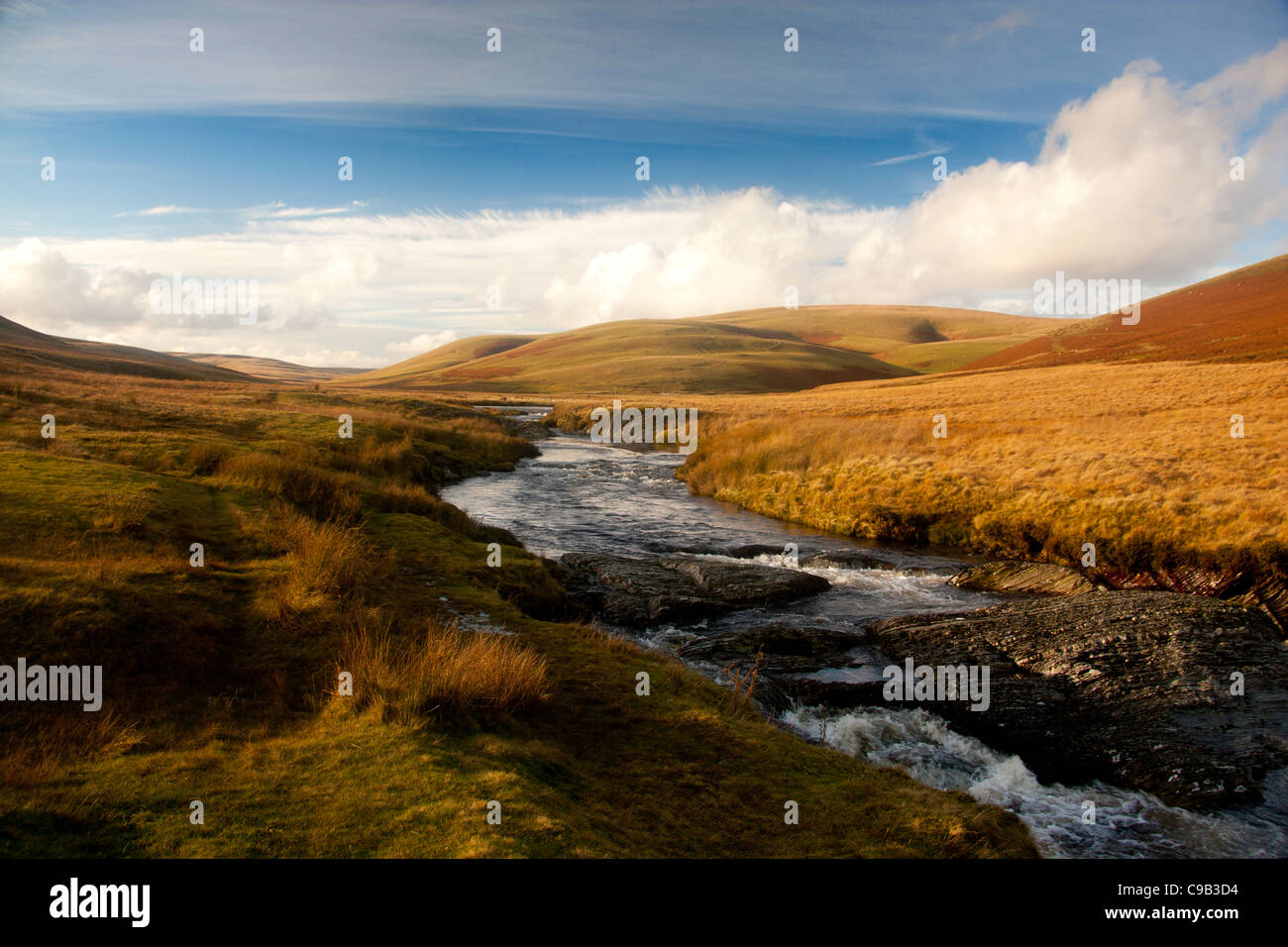 Elan-Fluss im Spätherbst Licht in der Nähe von Rhayader und Road to Cwmystwyth Powys Mid Wales UK Stockfoto