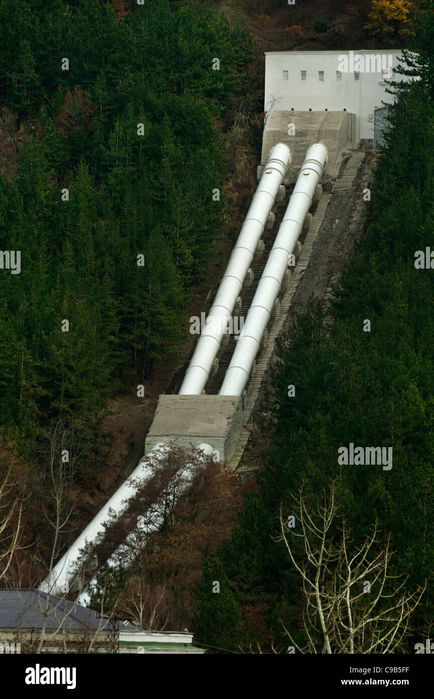 Central City Hauptwasserleitung. Große weiße Rohre im Wald Stockfoto