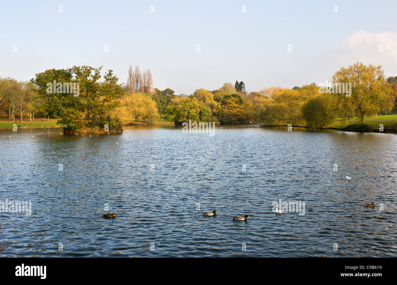 Lake Meadows Park in Billericay, Essex, an. Stockfoto